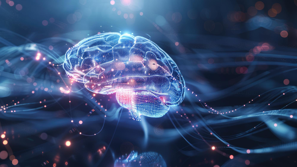 올브레인, 전뇌학습